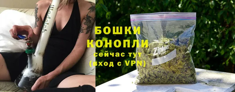 Канабис OG Kush  цены   Радужный 